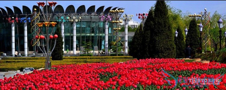 绨ܴ԰ 绨ܴ԰Ʊ͵ַ