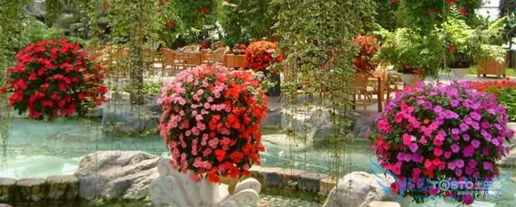 绨ܴ԰ 绨ܴ԰Ʊ͵ַ