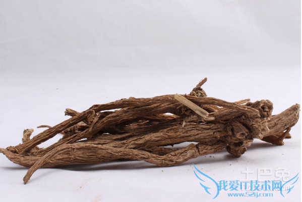 川断的功效与作用