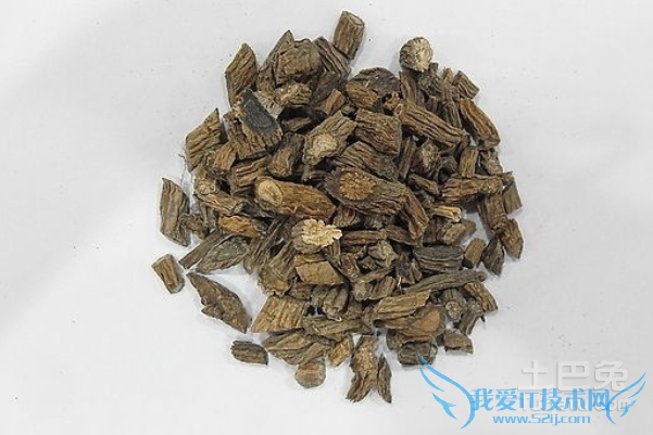 川断的功效与作用