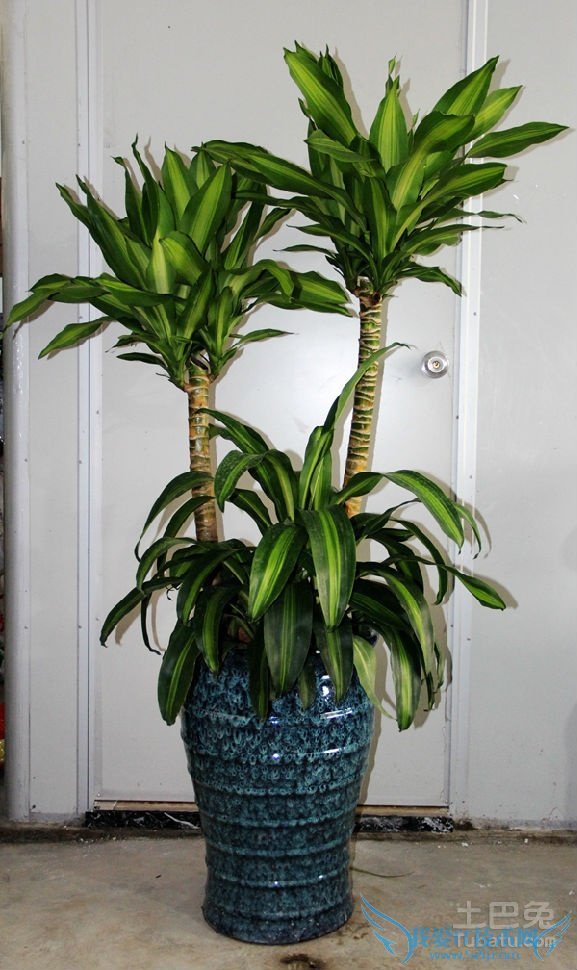 也门铁3m高价格