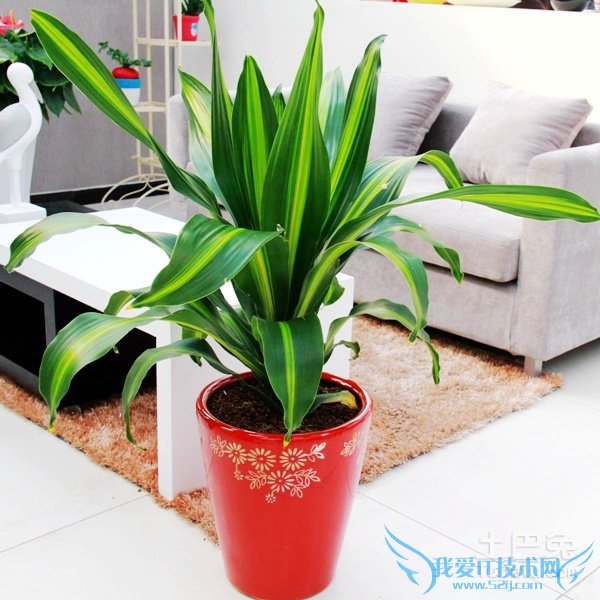 也门铁3m高价格