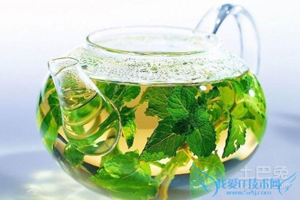 桑叶茶的制作方法