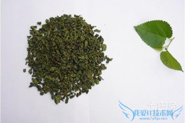 桑叶茶的制作方法