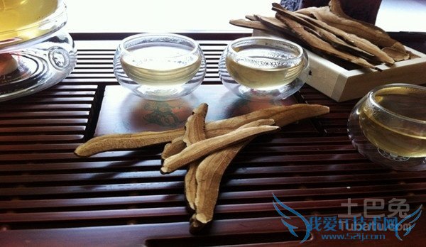 山色峪灵芝图片