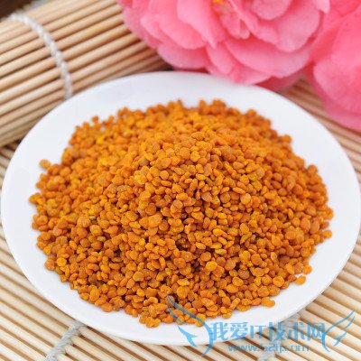 軨۵ĹЧý 軨۵ʳ÷Ƽ