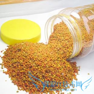 軨۵ĹЧý 軨۵ʳ÷Ƽ