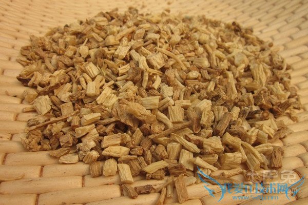 辽参的营养价值