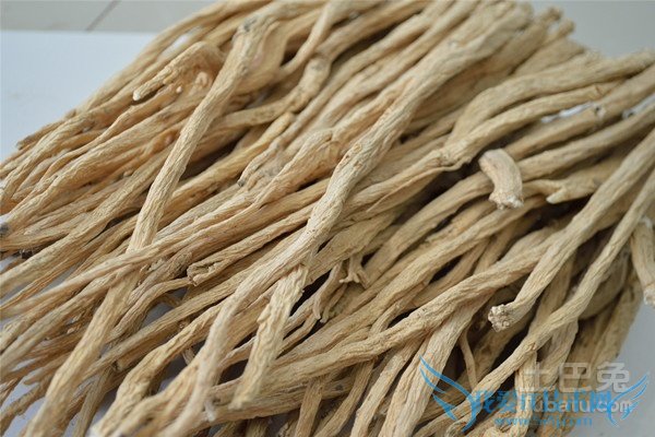 辽参的营养价值