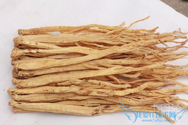 辽参的营养价值