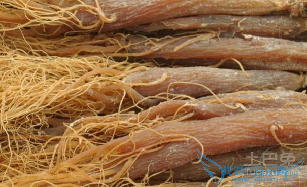 高丽参和红参的区别