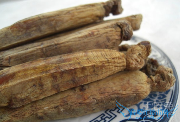 高丽参和红参的区别