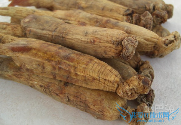 高丽参和红参的区别