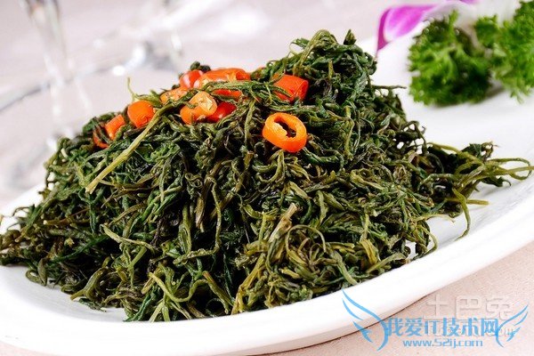 龙须菜养殖 龙须菜养殖