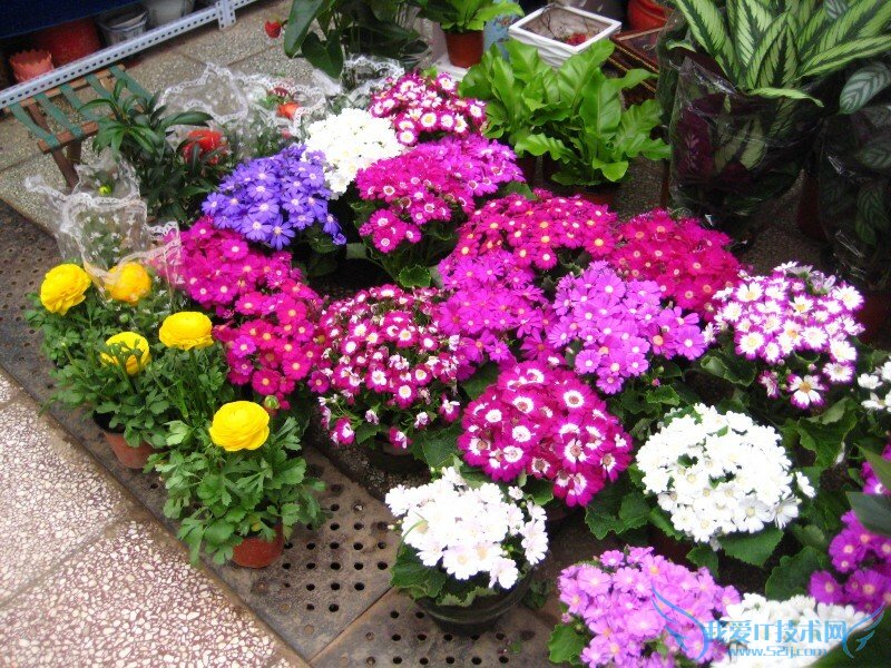 ȪӪгӪҵʱ绰ַ ȪӪгô?