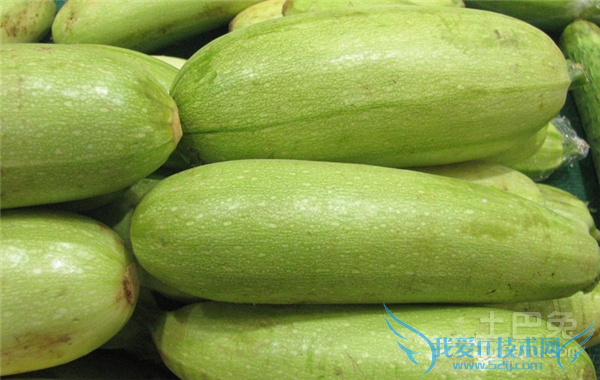 Ëñ¹ÏͼƬ Ëñ¹ÏͼƬ