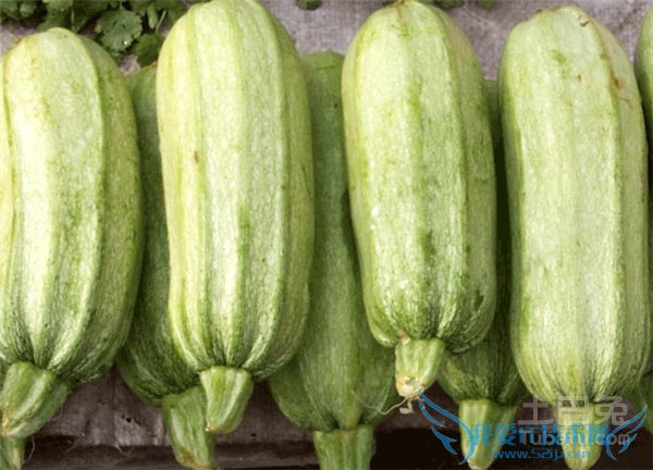 Ëñ¹ÏͼƬ Ëñ¹ÏͼƬ