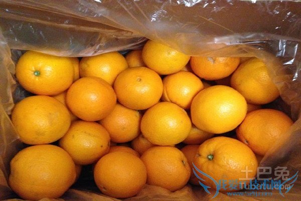 奉节脐橙图片 奉节脐橙图片