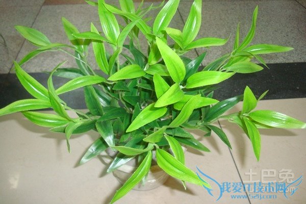 仿真植物价格 仿真植物价格