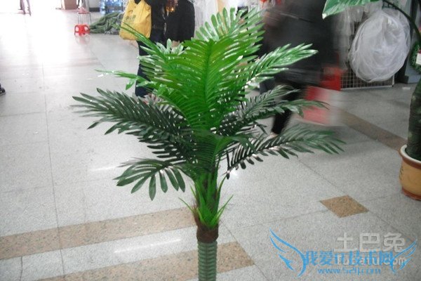 仿真植物价格 仿真植物价格