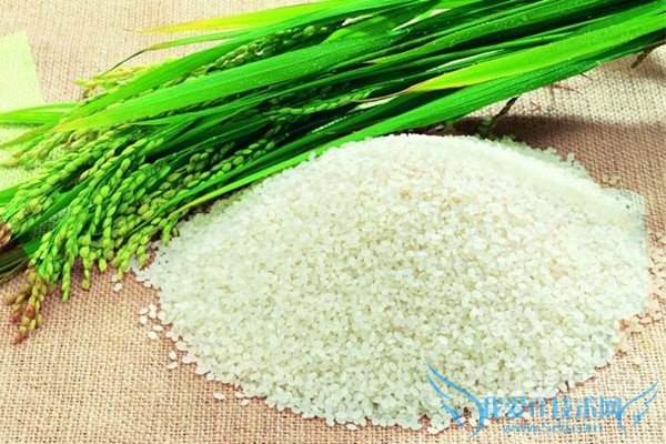 富硒大米功效 富硒大米功效