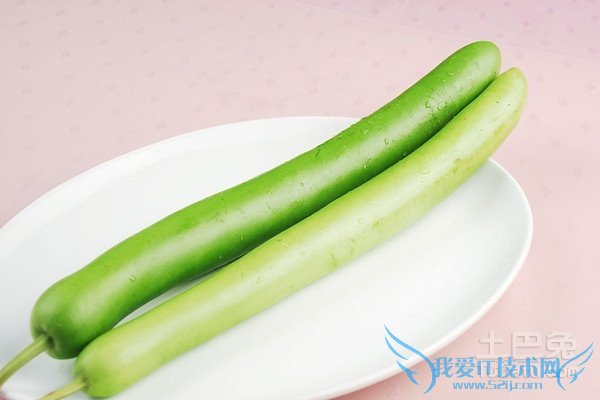 瓠子图片 瓠子图片