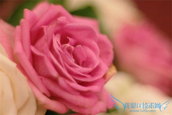 19õ廨Ļʲô ͬɫ19õĻ