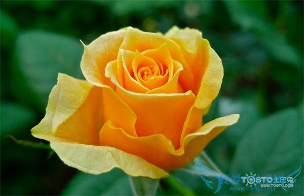 19õ廨Ļʲô ͬɫ19õĻ