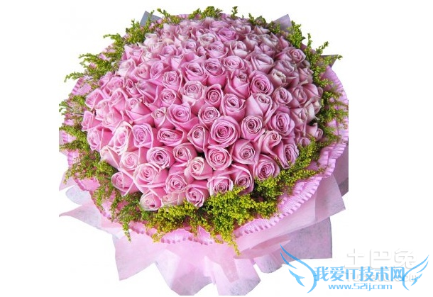九十九朵玫瑰 九十九朵玫瑰