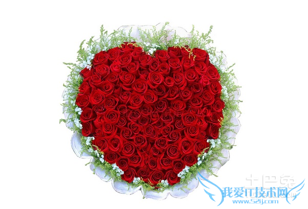 九十九朵玫瑰 九十九朵玫瑰