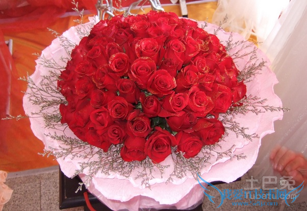 九十九朵玫瑰 九十九朵玫瑰