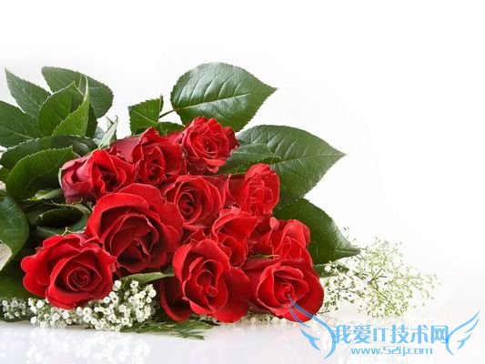 11õʲô˼ 11õ廨Ｐ۸