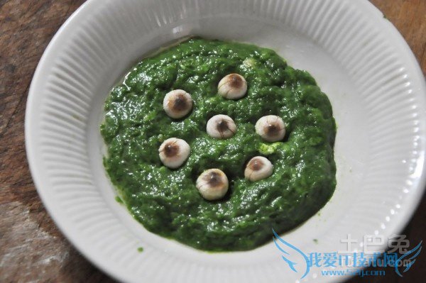 莲蓬图片 莲蓬图片