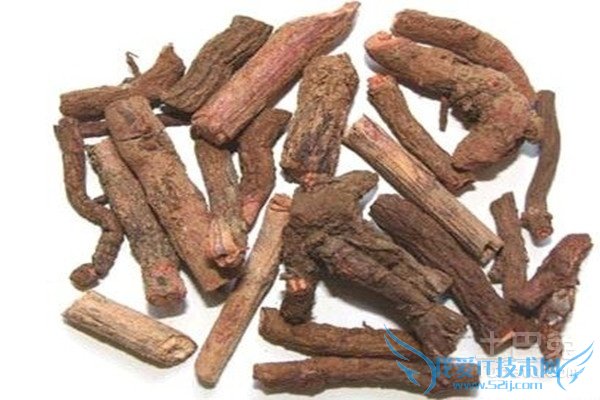 茜草根泡酒 茜草根泡酒