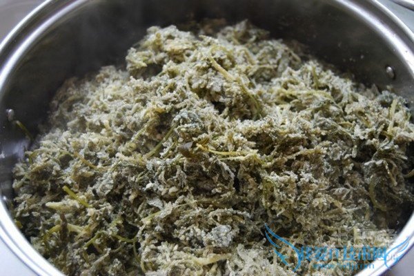 白蒿的吃法 白蒿的吃法