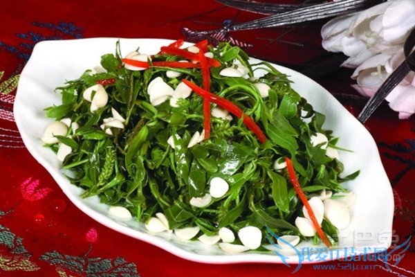 白蒿的吃法 白蒿的吃法