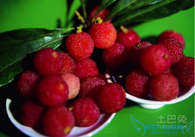 杨梅怎么洗 杨梅怎么洗