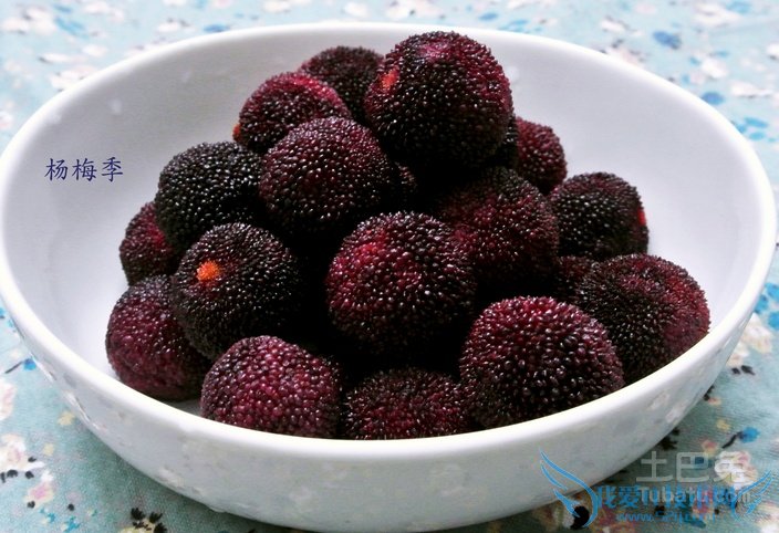 杨梅怎么洗 杨梅怎么洗