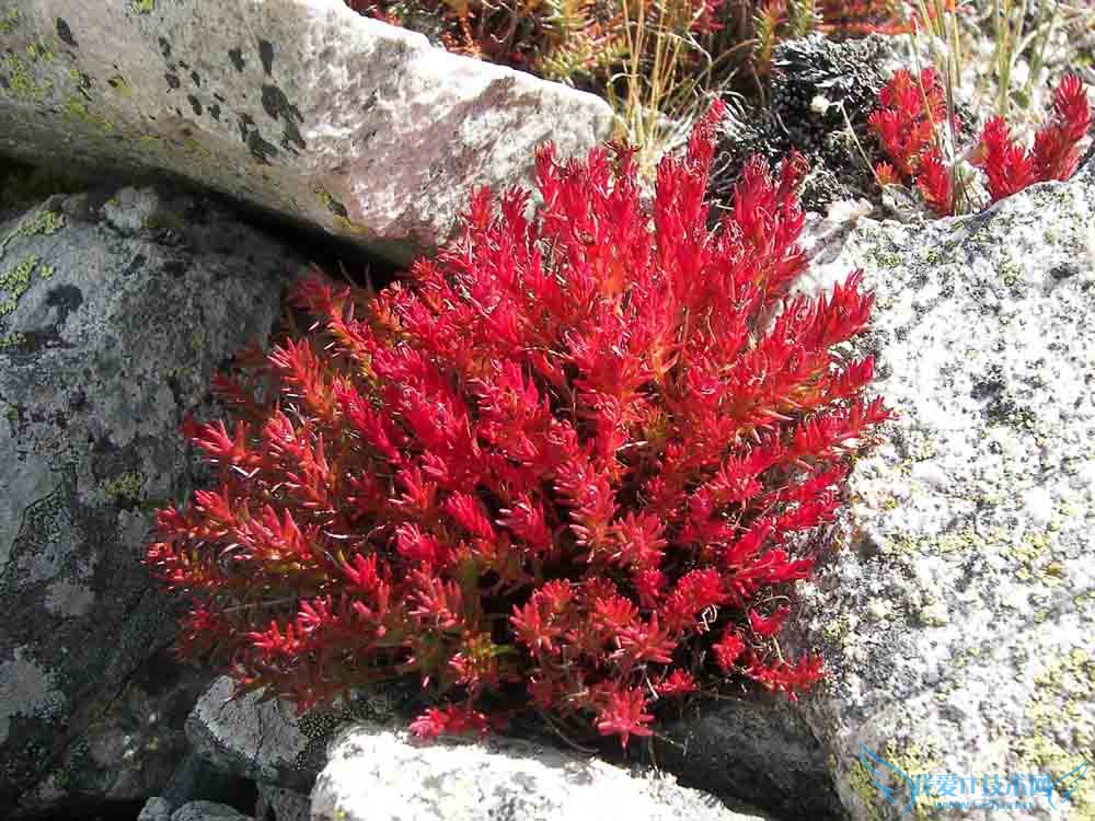 쾰ĹЧ 쾰ĳԷ 쾰ļ۸