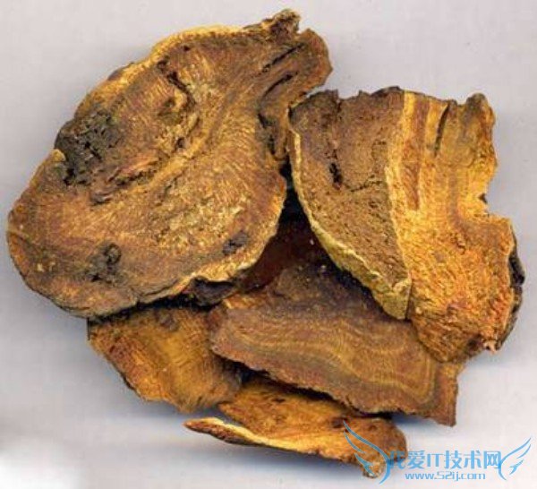 쾰ĹЧ 쾰ĳԷ 쾰ļ۸