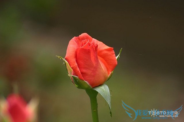 һõ廨ʲô һõ廨ȫ