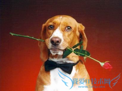 һõ廨ʲô һõ廨ȫ