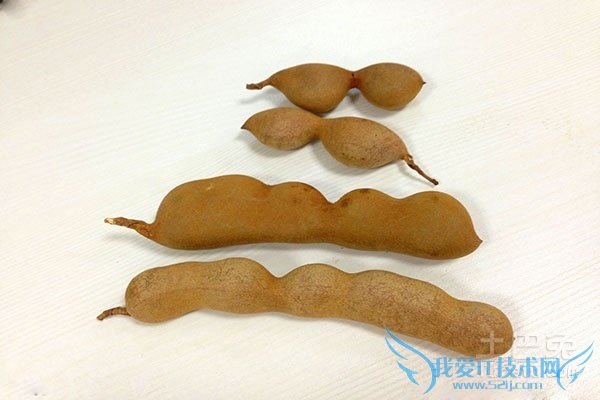 酸角怎么吃 酸角怎么吃