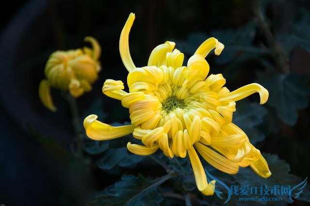 ƾջĹЧüʳ÷ ƾջʳý