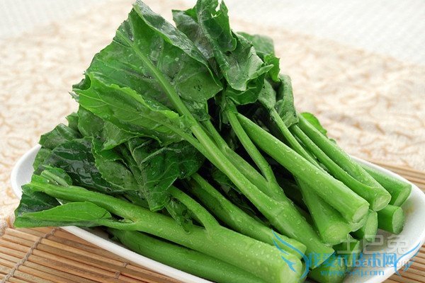 芥蓝图片 芥蓝图片