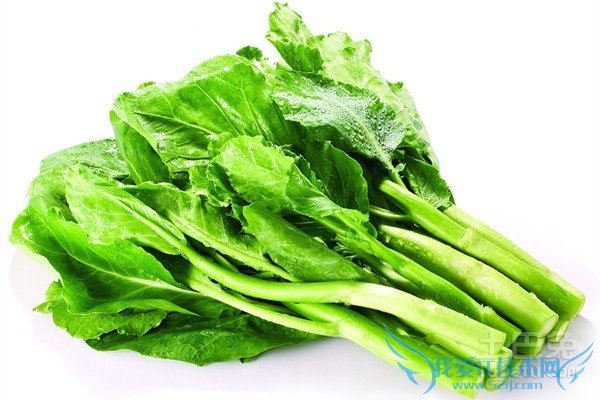 芥蓝图片 芥蓝图片