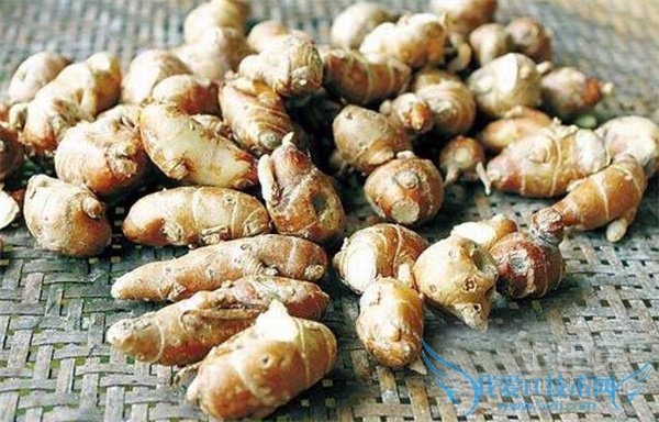 山奈图片 山奈图片