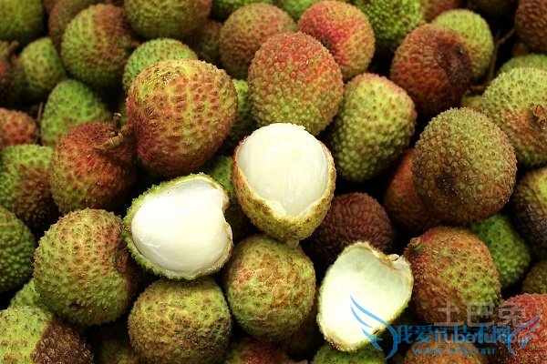 妃子笑荔枝的价格