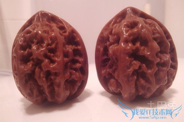 麻核桃树苗嫁接 麻核桃树苗嫁接