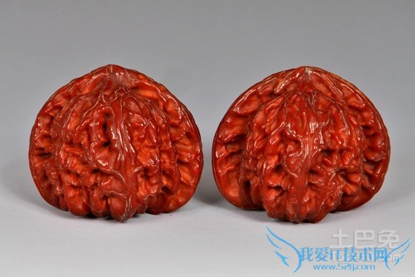 麻核桃树苗嫁接 麻核桃树苗嫁接